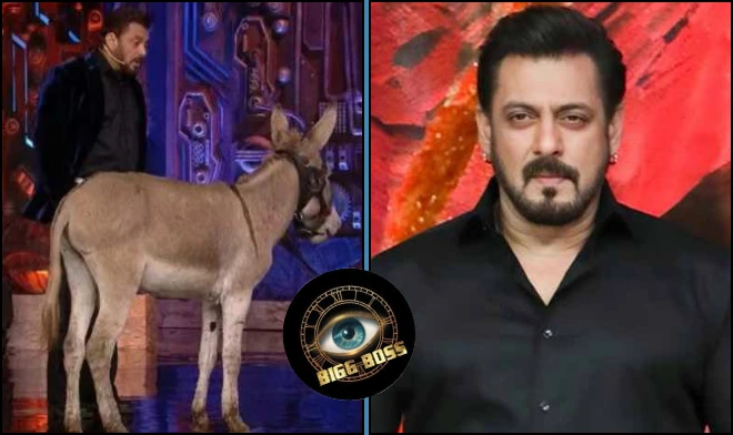 PETA wrote a letter to Bigg Boss 18 host Salman Khan